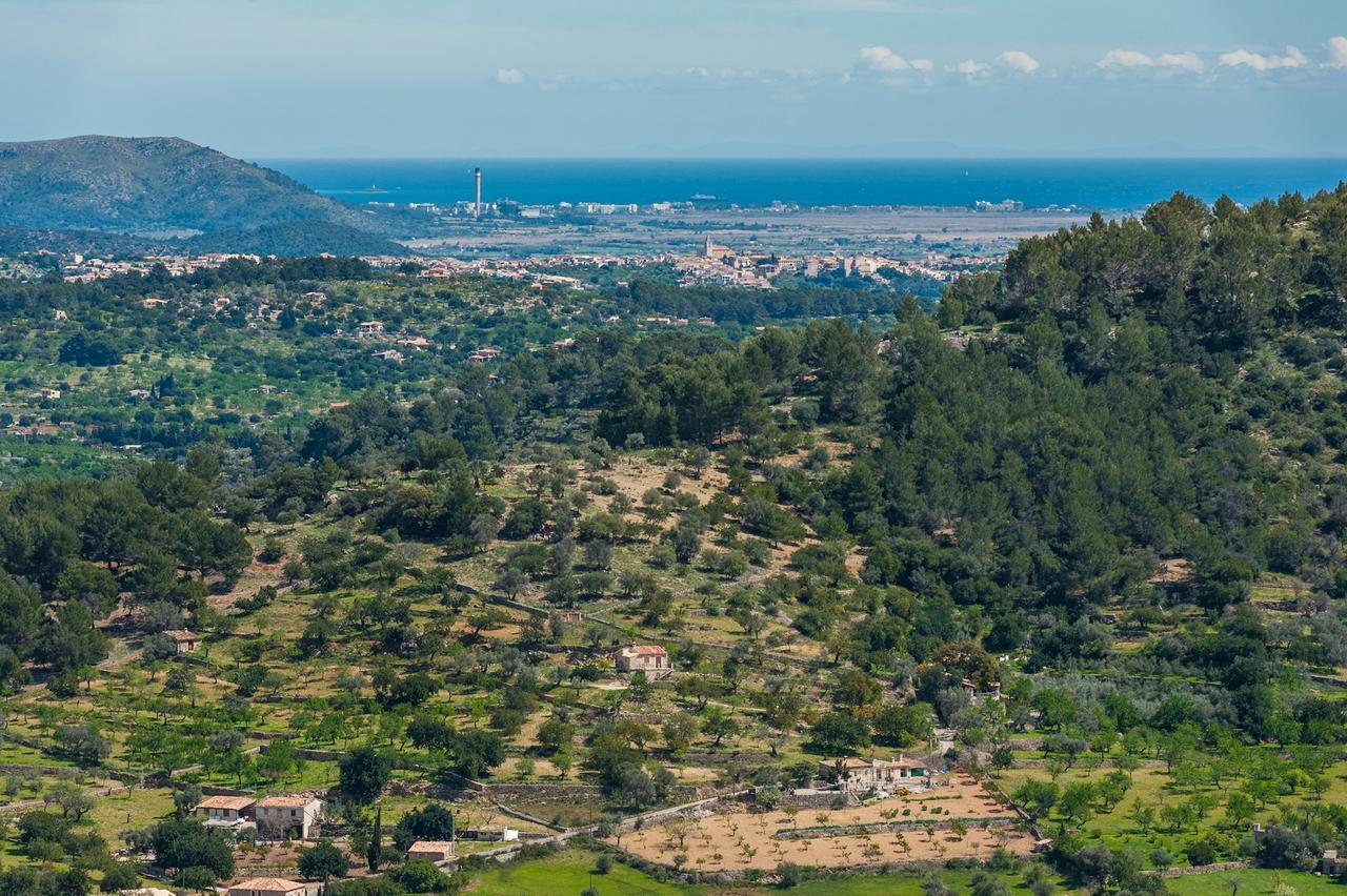 Villa Casa Vella à Mancor del Valle Extérieur photo